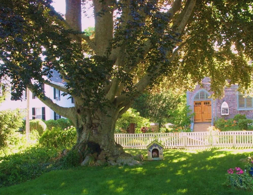 Bed and Breakfast The 1720 House à Vineyard Haven Extérieur photo