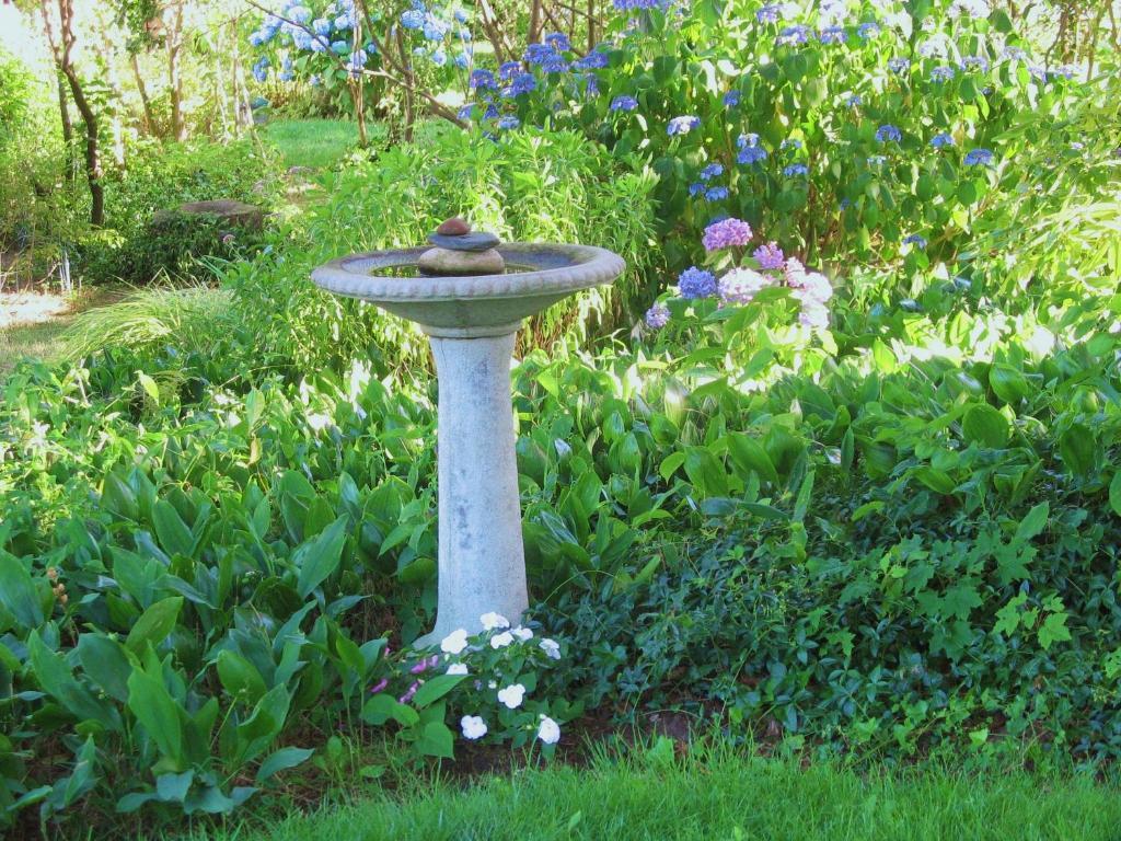 Bed and Breakfast The 1720 House à Vineyard Haven Extérieur photo