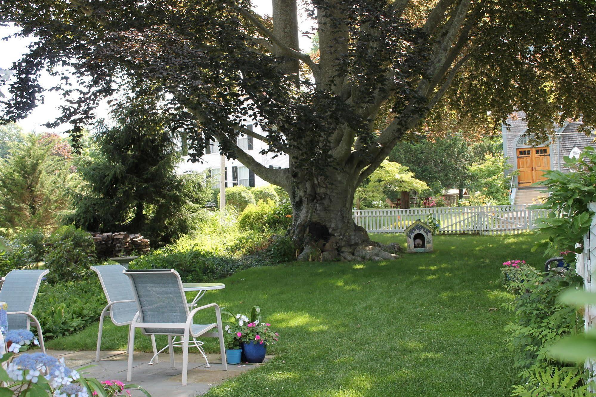 Bed and Breakfast The 1720 House à Vineyard Haven Extérieur photo